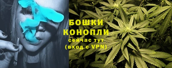 твердый Пролетарск