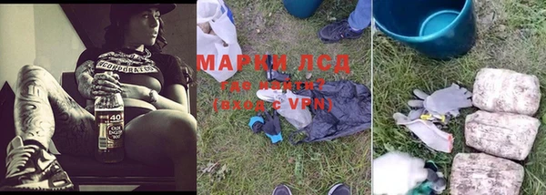 мяу мяу мука Аркадак